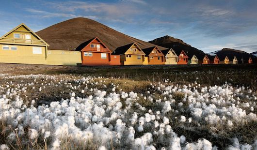 Maisons colorées Longyearbyen