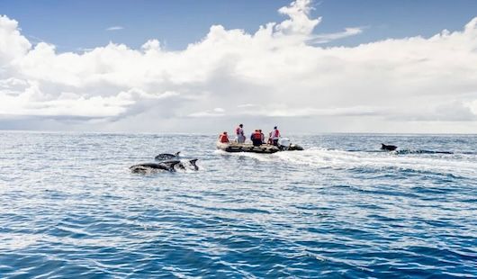 Au plus près de la nature des Galapagos - HX Hurtigruten
