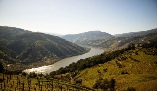 croisiere fluviale douro