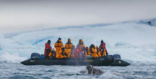 Excursion en zodiac