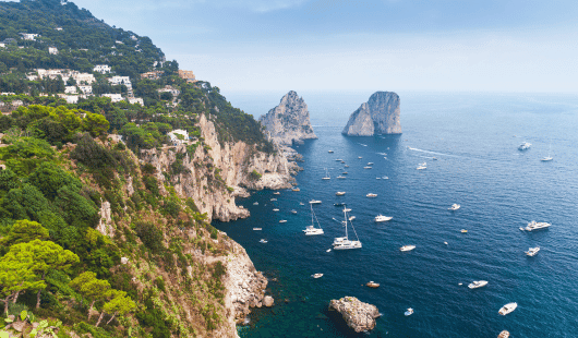 mediterranée-msc.png