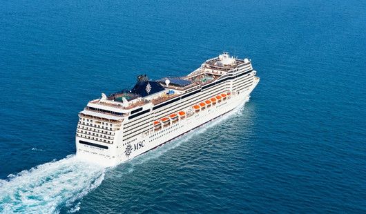 msc magnifica